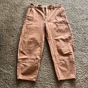 Everlane Barrel pant